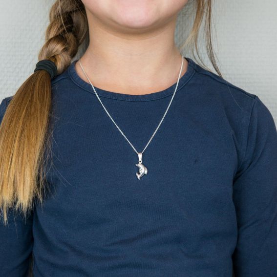 Bijou en argent - dolfijn