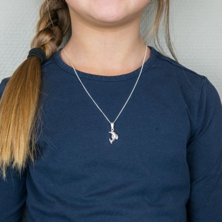 Bijou en argent - dolfijn