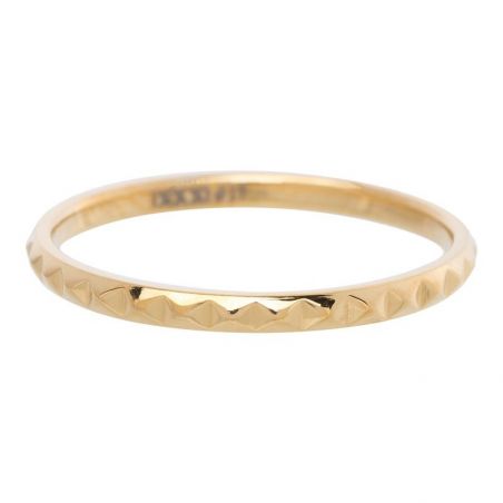 iXXXi - IXXXi Gouden Piramide