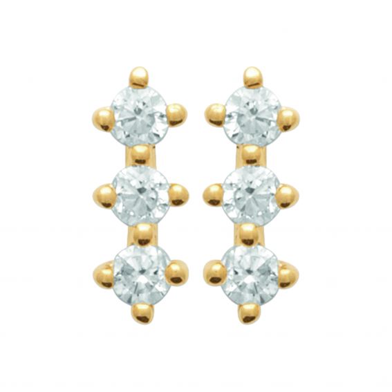 Bijou argent/plaqué or Rose drills in 18k gold plated