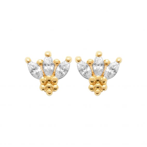 Magnolia-boren met juwelen...