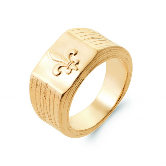 Bijou argent/plaqué or Nico ring in 18K gold plate