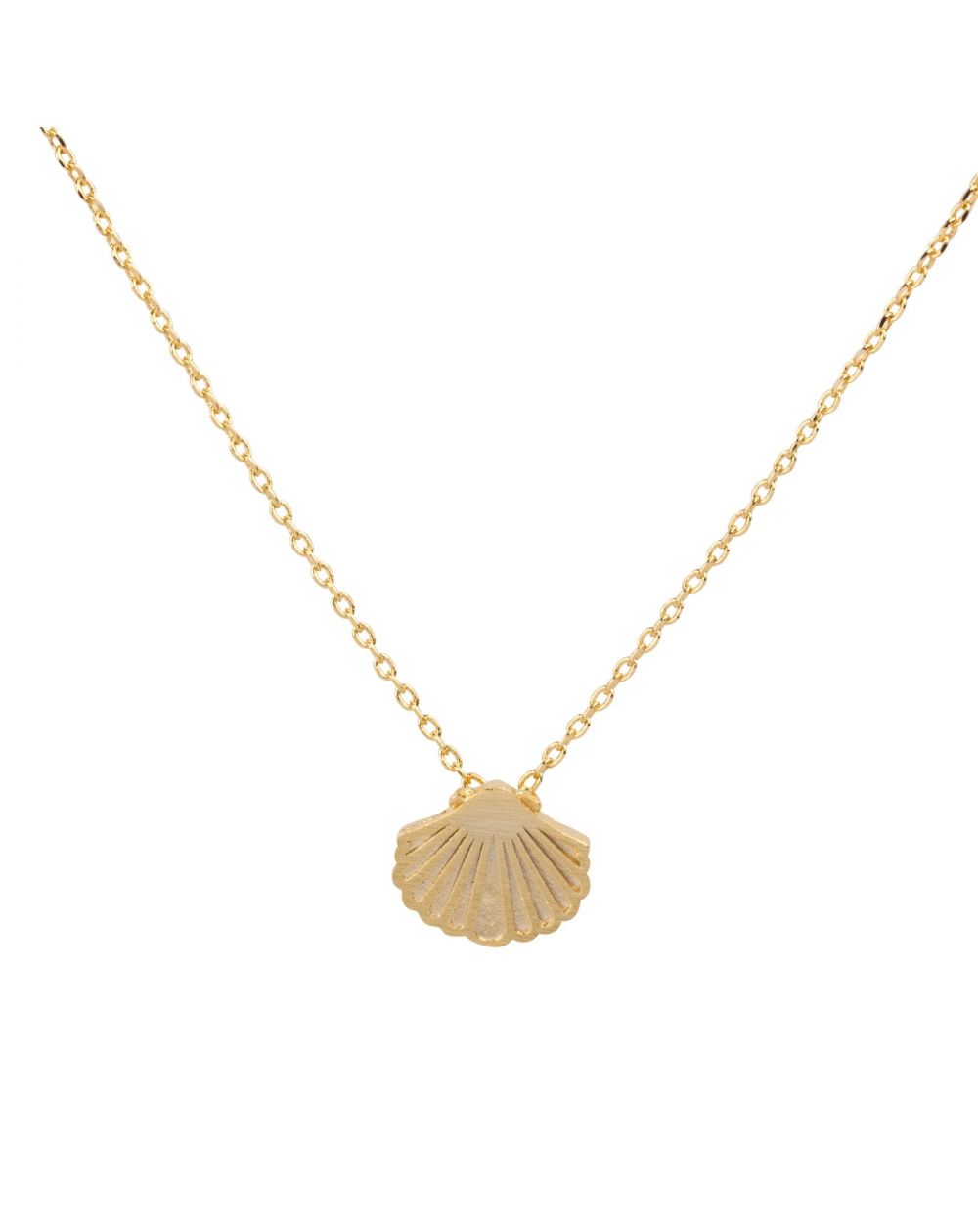 Collier 7bis Coquillage doré - Bijoux & Collier de marque 7bis