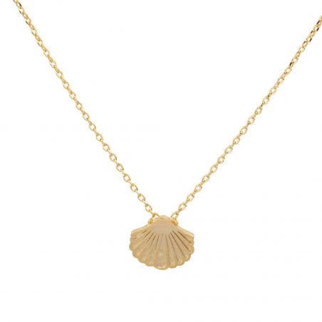 7bis - golden seashell