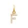 copy of D zirkonium hanger 18k gouden plaat