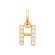 H zirkonium hanger 18k gouden plaat