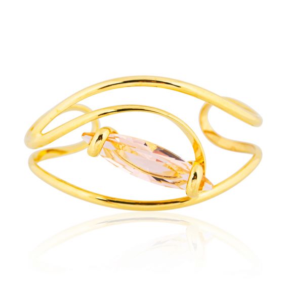 Andrea Marazzini roze...