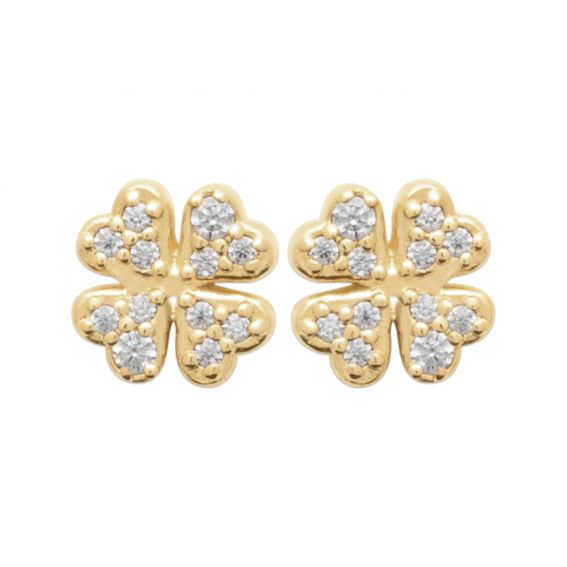 Oorbellen met klavertje...