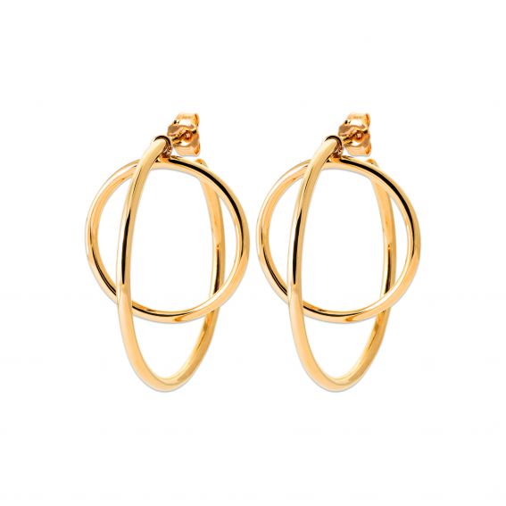 Verstrengelde oorbellen –...