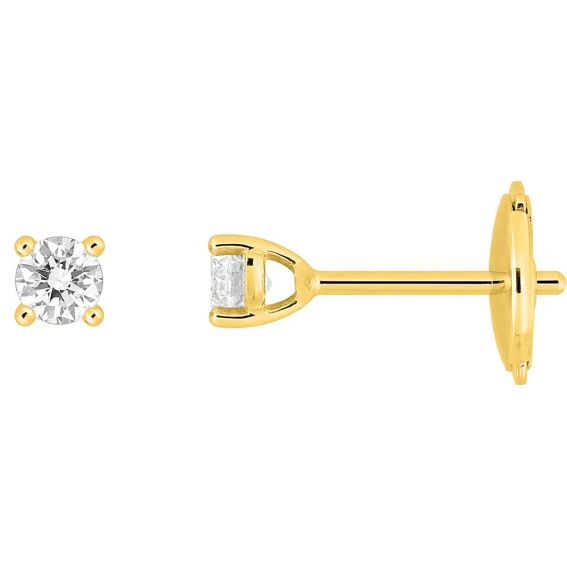 Oorbellen met in het...