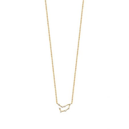 Collier pl-or 750 3mic oz capricorne