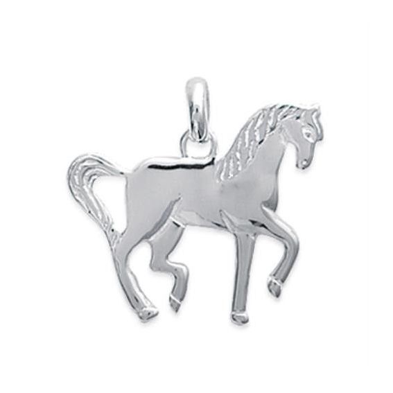 Pendentif argent 925 rhodie