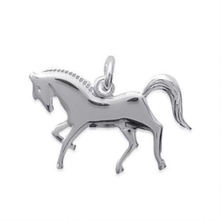 Pendentif argent 925
