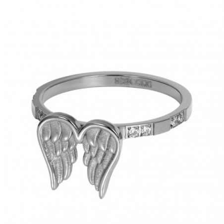 Wings 2mm - R06600-03 - Bijoux de marque iXXXi