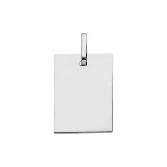 9 karaat wit goud...