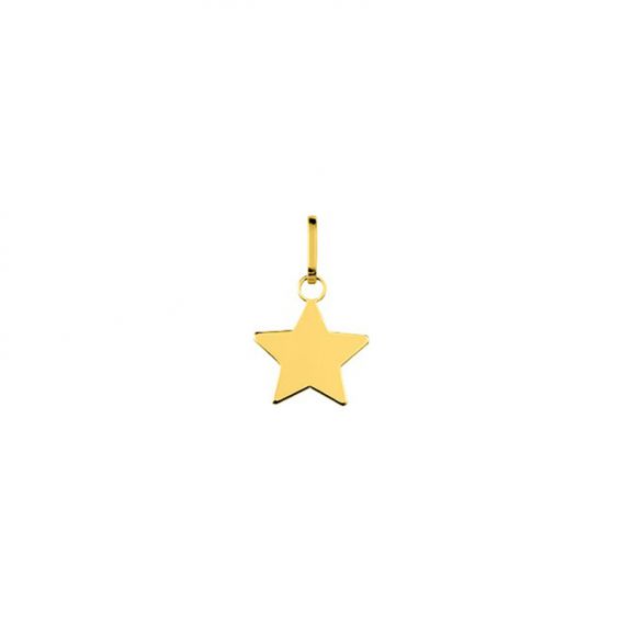 Mini étoile or jaune 9 carats