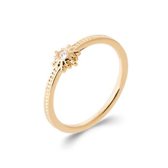 Bague pl-or 750 5mic oz