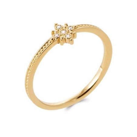 Bague pl-or 750 5mic oz