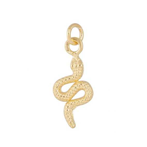 Bijou argent/plaqué or slangen hanger